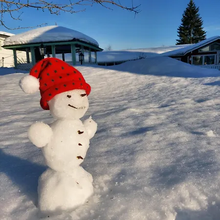 Отель Maalaiskartano Pihkala