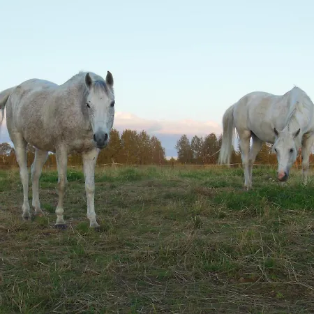 Maalaiskartano Pihkala Ξενοδοχείο Kestilä