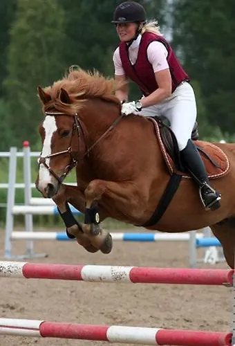 Maalaiskartano Pihkala Kestilä